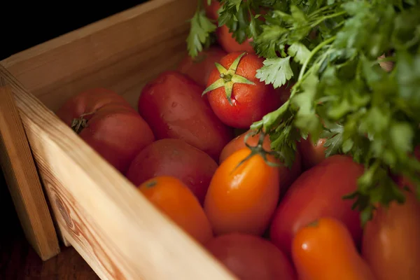 Mistura Tomates Orgânicos Coloridos — Fotografia de Stock