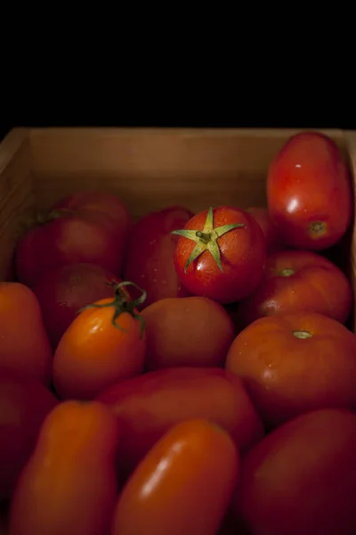 Mistura Tomates Orgânicos Coloridos — Fotografia de Stock