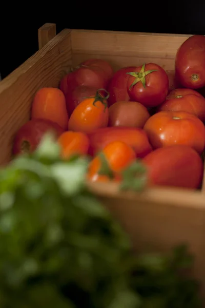 Mistura Tomates Orgânicos Coloridos — Fotografia de Stock