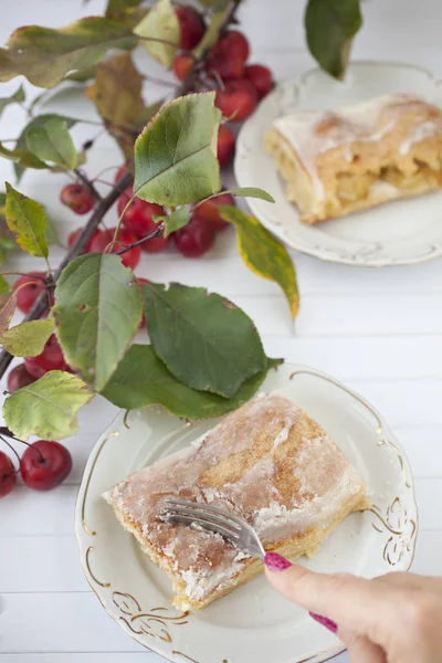 elmalı turta - organik elma ve bir parça kek