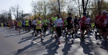Varşova, Polonya, 4 Nisan: 4 Nisan 2019'da Varşova, Polonya'da şehirde maraton sırasında koşucular