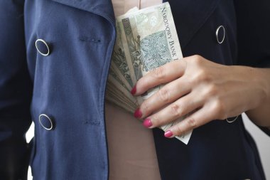 Varşova, 3 Ağustos 2019,- 3 Ağustos 2019'da Varşova, Polonya'da bir grup Polonya banknotunun yakın çekimi