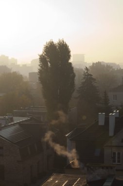 Polonya, Varşova 'da Sonbahar Zamanı Sis