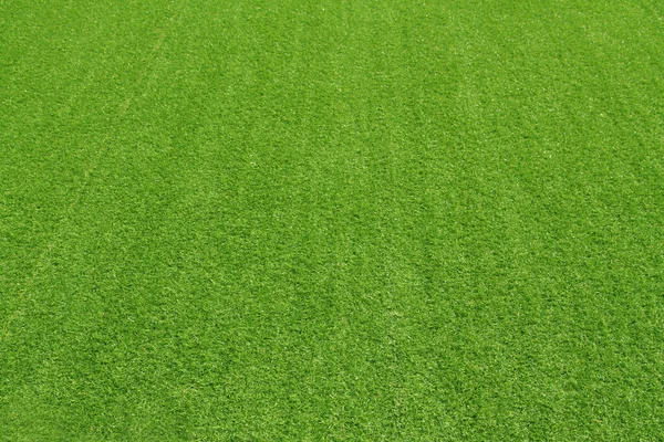 Arkaplan için yapay çimenler. Yeşil doku arkaplanı.