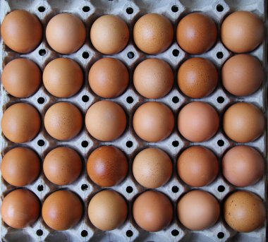 Arka plandan yumurtalar. Yumurta deseni..