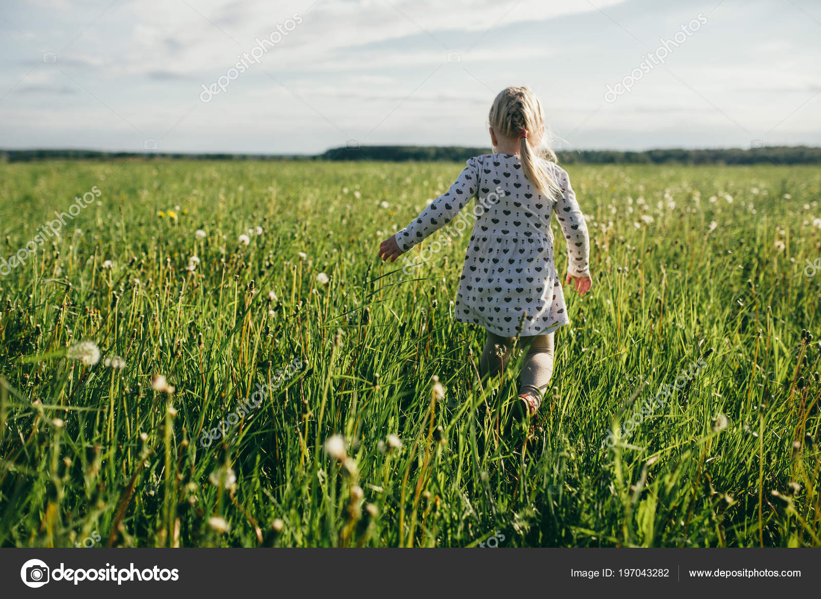 Love Wild Flowers Stock Photo by ©showpx 197043282