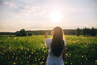 mükemmel yaz güneşli gün