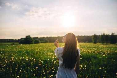 mükemmel yaz güneşli gün