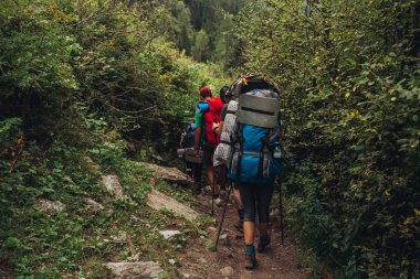 Altay dağlarında tatil