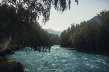 Dağ ve soğuk altay Nehri