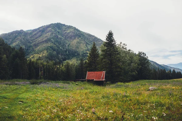 Будинок Лісника Горах — стокове фото