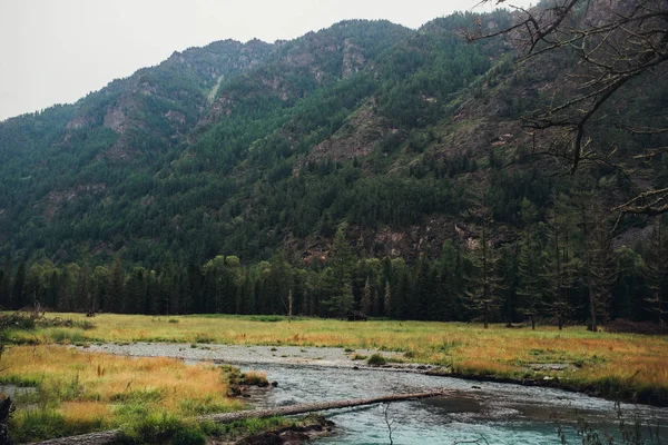 Montaña Río Frío Altai — Foto de Stock