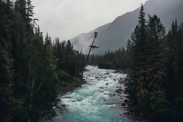 Berg Und Kalter Fluss Des Altai — Stockfoto