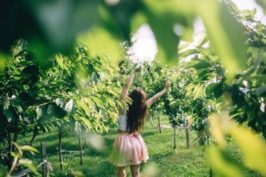 Yaz bahçede yürümek