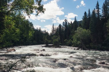 Yaz Altay dağ doğası
