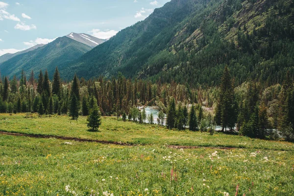 Gebirgsnatur Des Altais Sommer — Stockfoto