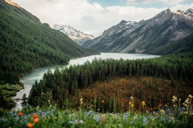 Yaz Altay dağ doğası
