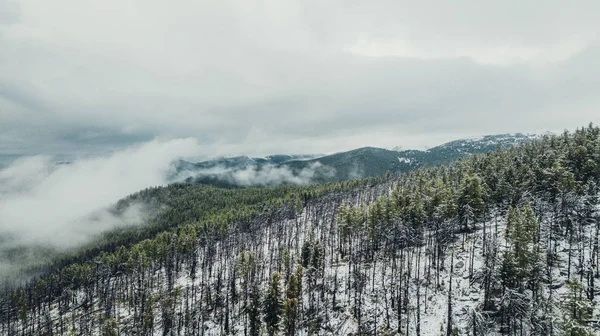 Winter Den Bergen Auf 2500 Metern Höhe — Stockfoto