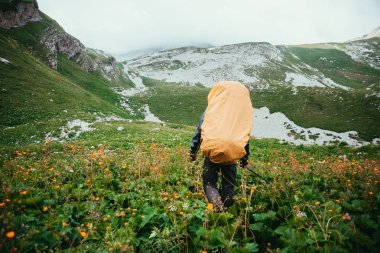 Güzel bir dağ yolu boyunca seyahat