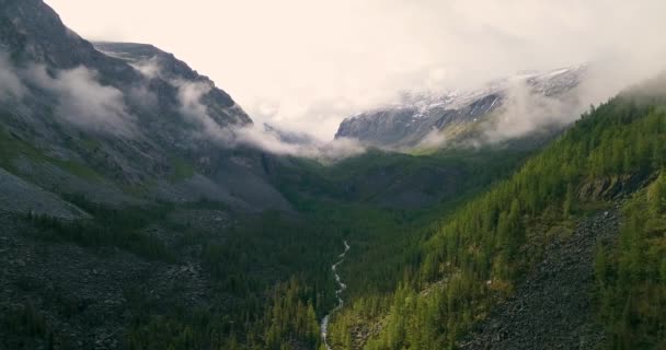 Volo Montagne Estate Altai — Video Stock