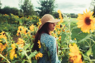 Ayçiçekleri arasında tarlada yürüyün