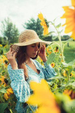 Ayçiçekleri arasında tarlada yürüyün