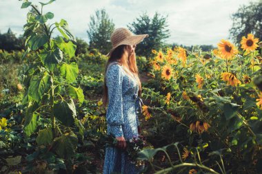 Ayçiçekleri arasında tarlada yürüyün