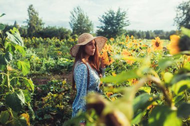 Ayçiçekleri arasında tarlada yürüyün