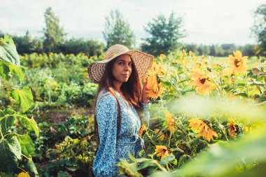 Ayçiçekleri arasında tarlada yürüyün