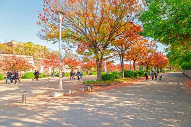 Osaka, Japonya - 21 Kasım 2018 - Osaka Kalesi çevresindeki bölgede sonbahar manzarası