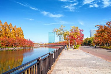 Osaka, Japonya - 21 Kasım 2018 Osaka Şatosu yakınlarındaki Sonbahar Renkli Park