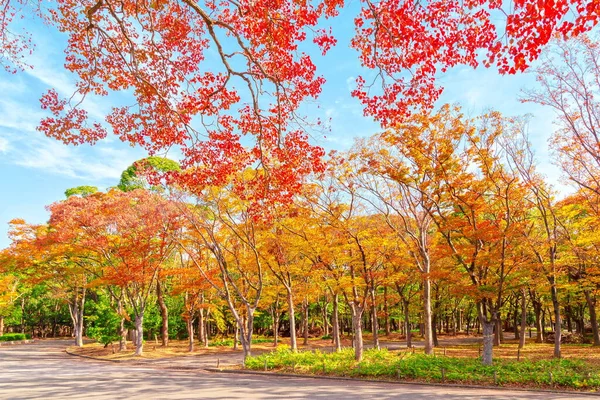Herfst Landschap Osaka Kasteel Park Osaka Japan — Stockfoto
