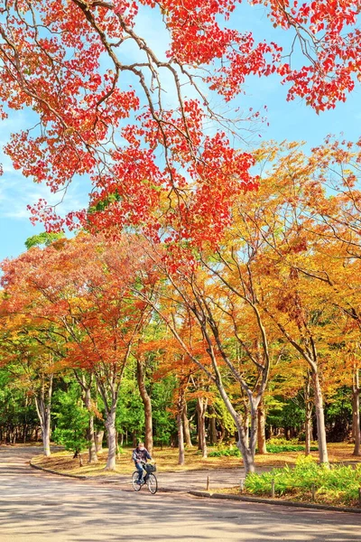 大阪府2018年11月21日 大阪城下の市民の森公園内の紅葉公園 — ストック写真