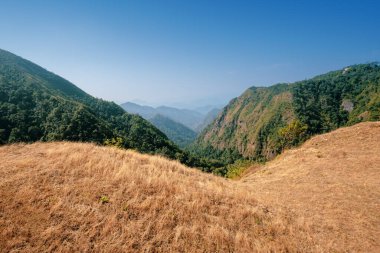 Tepenin tepesinde çimenlik bir manzara var.