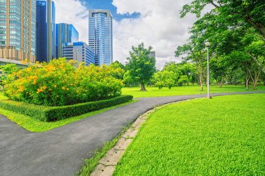 Güneşli günlerde parkta yürüme yolu. Şehirde doğa var.