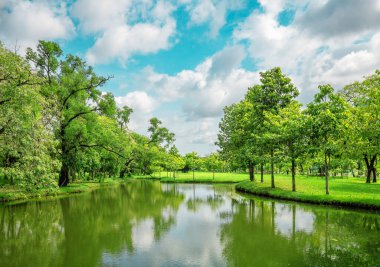 Parktaki gölet ve baharda ağaçlar. Doğal arkaplan