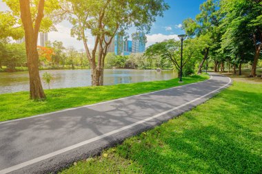 Güneşli günlerde parkta yürüme yolu. Şehirde doğa var.