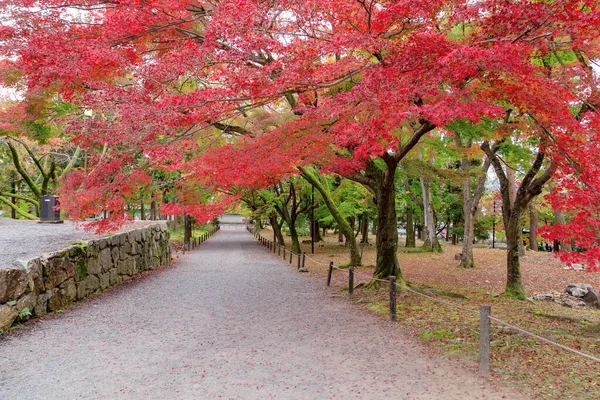 Otoño Colorido Hoja Arce Rojo Del Jardín Japonés Debajo Del — Foto de Stock