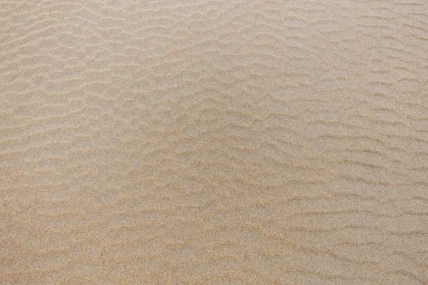 Surface Sable Sur Plage Modèle Vague — Photo