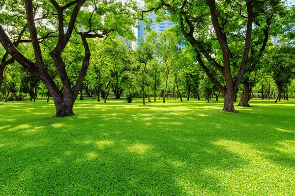 Gramado Verde Manhã Com Sol Sombras Fundo Natural Cidade — Fotografia de Stock