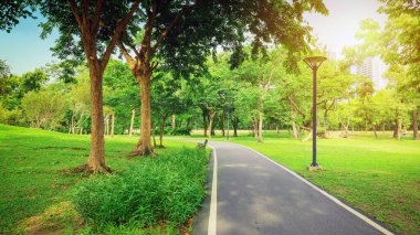 Bangkok 'taki parklar. Şehir halkının dinlenme alanı.