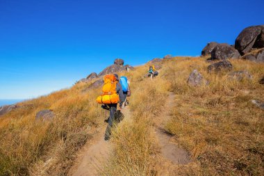 Yürüyüşçü sonbaharın güneşli bir gününde bir dağ yolunda ayrılıyor.