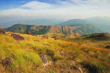 Tepedeki çayır Akşam vakti