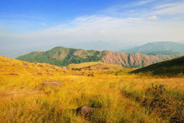 Tepedeki çayır Akşam vakti