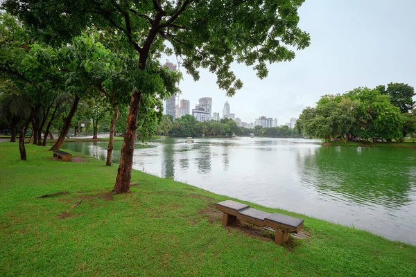 Parque Com Lago Localizado Meio Cidade — Fotografia de Stock