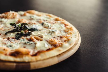 İtalyan pizza sı 4 peynir kurulu
