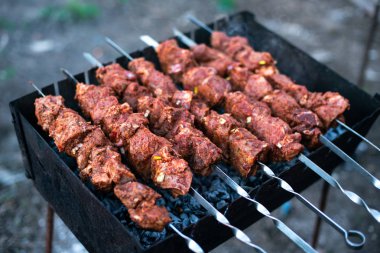 kavrulmuş et, ızgara üzerinde şiş soğan ile şiş