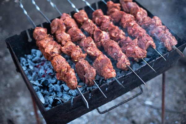 焼き肉 焼き上げに玉ねぎを添えた串焼き — ストック写真