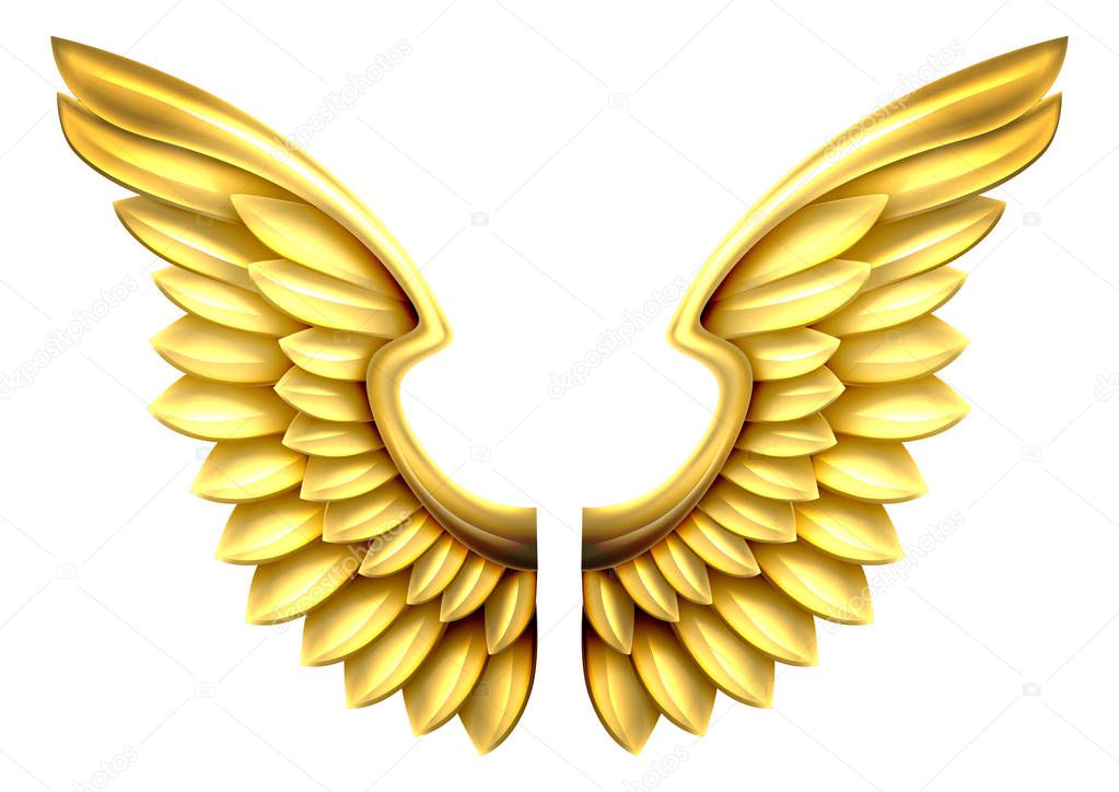 A pair of gold or golden shiny metal wings