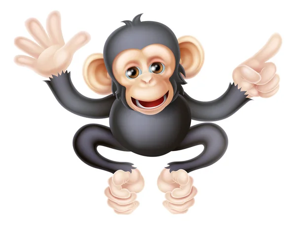 Cartoon Chimp Monkey Pointing — Stock Vector